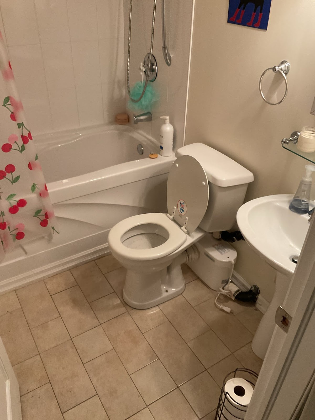 Mr. Rooter Plumbing of Halifax