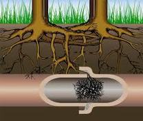 Strong Plumbing Inc